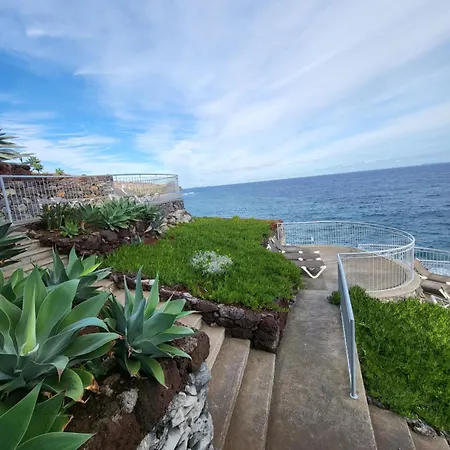 ロイヤル オーキッド